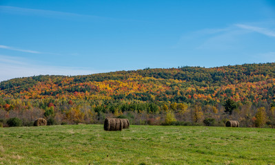 Fall folaige in the north country ny