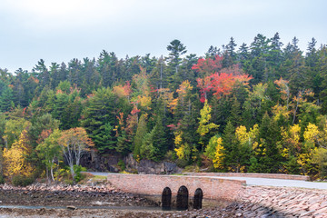 Small stone bridge below a hill with a forest of pine and maple trees