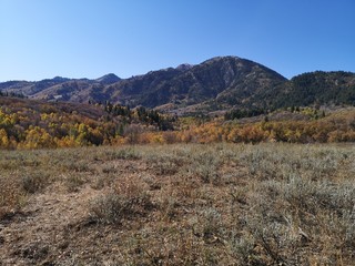 Fall colors landscape at Sardine Peak Trailhead