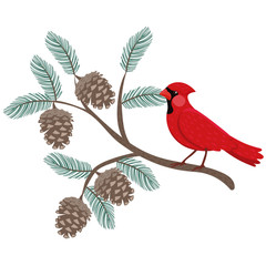 A red cardinal bird sits on a pine branch.