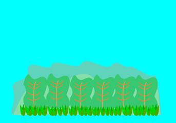 big green leaves and green grass on blue background