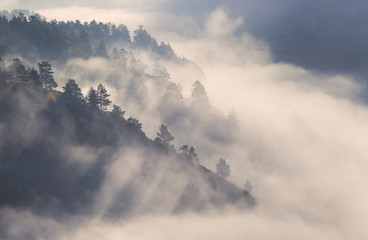 Morning in the mountains, fog in the valley and forest on the slope