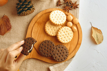 Woman eating cookies. Woman hand hold chocolate cookies.