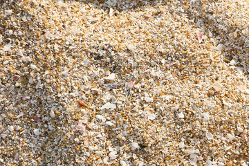 海の砂のある背景