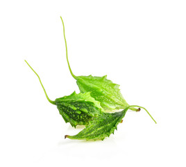 Bitter gourd on white background