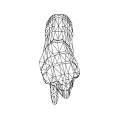 Abstract Lion Background line art isolated