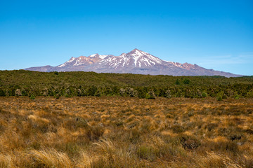 Fototapeta premium Beautiful snow capped volcano Ruapehu in New Zealand desert Road