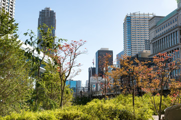 Obraz premium 東京都港区新橋の高層ビル群の街並み