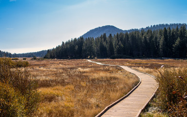 Wooden footpath through a mountain meadow near Lake Tahoe Nevada