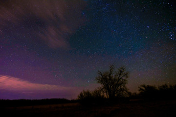 Fototapeta premium Purple sky