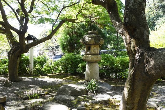 Scenery of the precincts of Japanese shrin