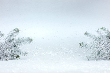 beautiful white snowy background with christmas tree branches under fluffy snow