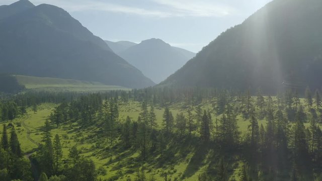 Top Down view of Fast Moving River with Rapids Surrounded by Pine Forest. Shot in Europe