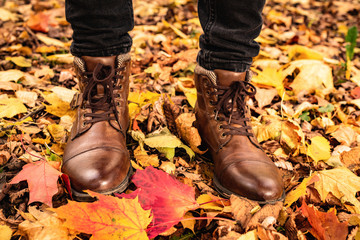 Male legs in brown leather boots standing on foliage in autumnal park. Fall season. Colorful maple leaves, lifestyle concept