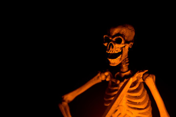 Halloween theme - Skeleton army