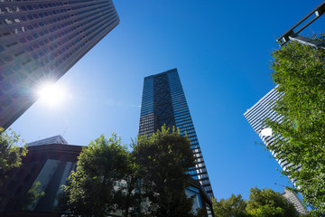 新宿高層ビル街　青空　太陽　フレア　2019　魚眼撮影