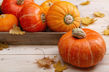 Orange round pumpkins in wooden box . Dry maple leaves on white. October, Halloween. Copy space.