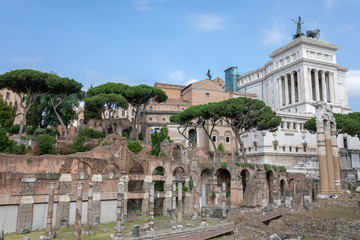Obraz premium Panoramic view of temple of Venus Genetrix is ruined temple and forum of Caesar