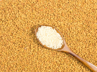 Basmati rice in spoon. Background from Fenugreek. Indian cuisine ingredients