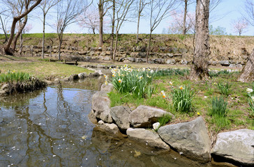 銭淵公園2014春