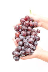 Red grapes on a white background
