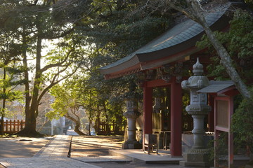 Obraz premium travel in Japan