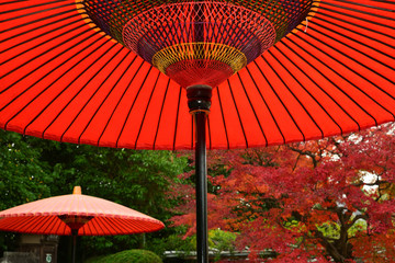 Red parasol and Japanese garden, Kyoto Japan