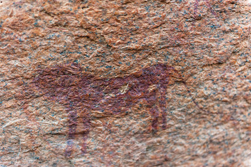 Detail of the prehistoric rock paintings of the San People in Western Namibia, near Spitzkoppe.