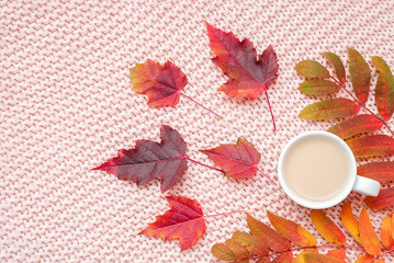 Fototapeta na wymiar Cup of coffee with milk and colorful autumn leaves on pastel pink knitted plaid background. Autumn cozy. Flat lay, top view, copy space