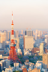 Naklejka premium The most beautiful Viewpoint Tokyo tower at sunset in tokyo city ,japan.