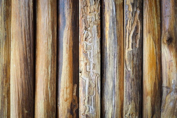 Wooden wall texture nature for background, Rustic style