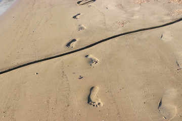 The footprints on the sand