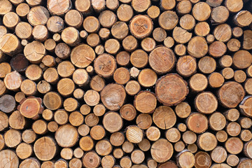 Stacked Wood Logs Pattern Background