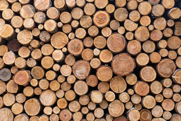 Wall murals Firewood texture Stacked Wood Logs Pattern Background