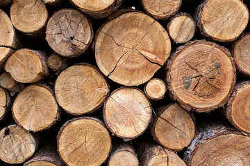 Keuken foto achterwand Brandhout textuur Gestapelde houtblokken