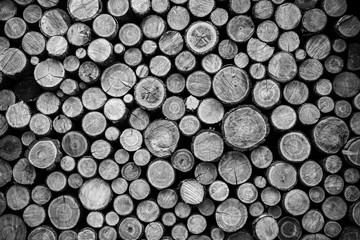 Stacked Wood Logs Pattern Background Black & White