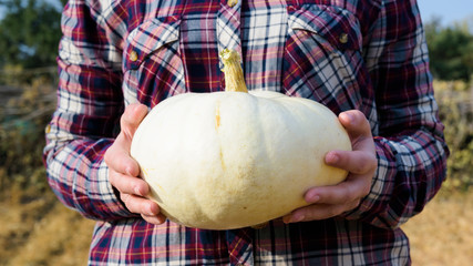 farmer in a checkered red shirt holds a white pumpkin in his hands