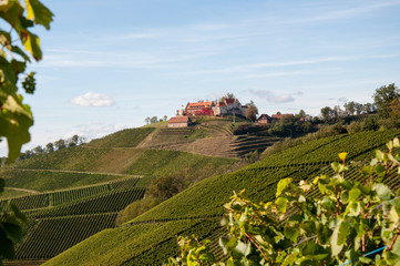 Schloss Staufenberg, Durbach