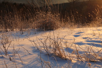 雪原　朝日