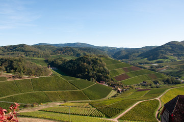 Blick von Schloss Staufenberg