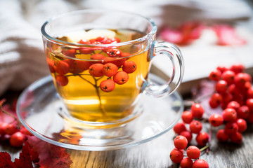 Hot tea in glass cup with rowan and atmospheric autumn decorations. Selective focus. Shallow depth of field.