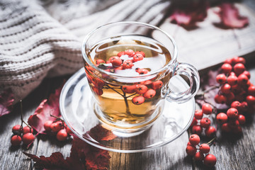 Hot tea in glass cup with rowan and atmospheric autumn decorations. Selective focus. Shallow depth of field.
