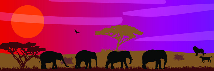 African savanna landscape. Wild animals in National park. Safari travel concept.