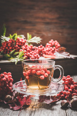 Hot tea in glass cup with rowan and atmospheric autumn decorations. Selective focus. Shallow depth of field.