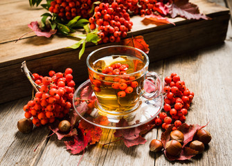 Hot tea in glass cup with rowan and atmospheric autumn decorations. Selective focus. Shallow depth of field.