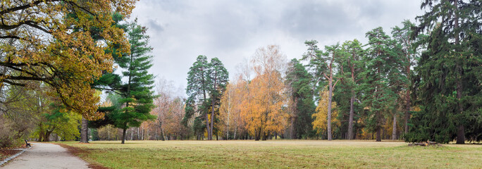 Big glade in park with trees on the her edge © An-T
