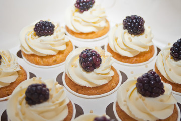 Close up cupcakes with white cream and blackberry in a box