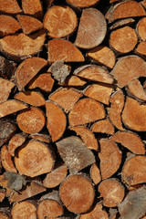 木の模様　木目のパターン wood grain pattern material woods