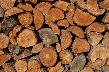 木の模様　木目のパターン wood grain pattern material woods