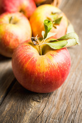 Freshly harvested ripe apple on the rustic wooden background. Selective focus. Shallow depth of field.